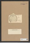 Pseudauliscus trigemmis (A. Schm.) Rattr. (de-Toni-Nr.: Genus 172, Species 4423) Zeichnungen Sammlung Grunow Nr. 7982 (NHMW-BOT-W0377274)